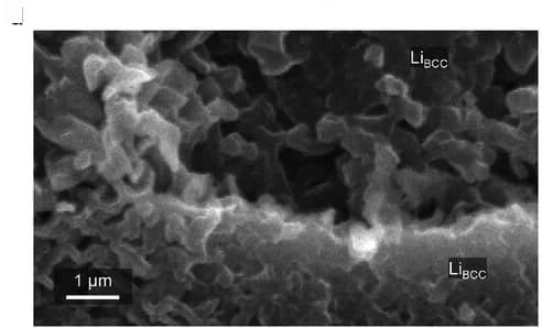 Open access visualization of Microscopy, Cross-sectional SEM, LiBCC, SE, NCM811