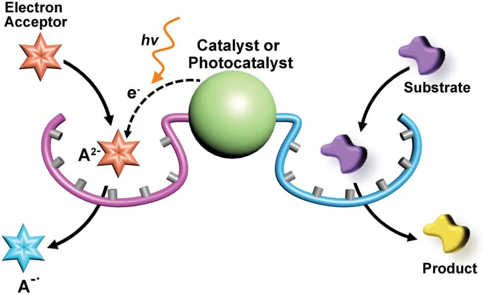 Open access visualization of Workflow, Illustration, Catalysis, Photocatalysis, Catalyst