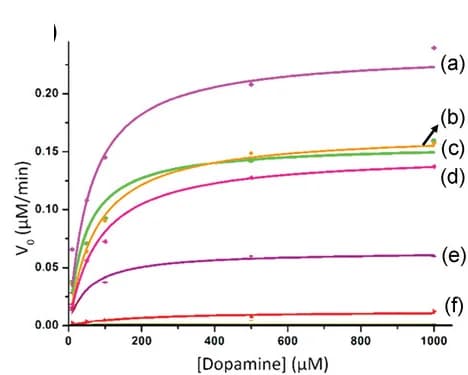 Open access visualization of Line Plot, Scatter Plot, H2O2 oxidation, Dopamine, Cu2+-terpyridine