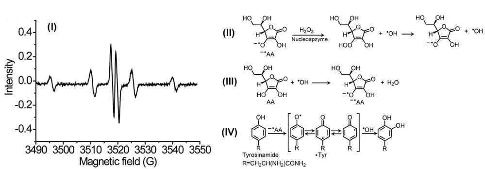 Open access visualization of Line Plot, Chemical Structure, Workflow, ESR Spectrum, Ascorbate Radical