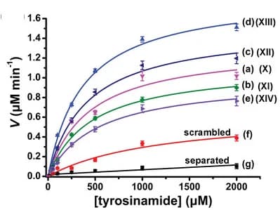 Open access visualization of Line Plot, Error Bars, Tyrosinamide Oxidation, H2O2, Ascorbate