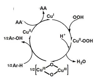 Open access visualization of Workflow, Flowchart, Mechanistic Cycle, Radical Species, Aptananozymes