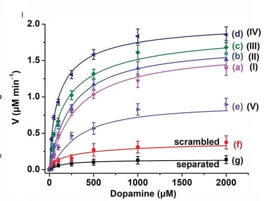 Open access visualization of Line Plot, Error Bars, Dopamine Oxidation, H2O2, Dopamine Concentrations