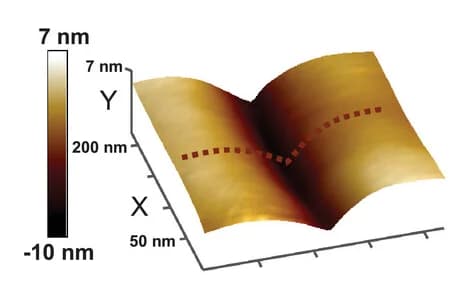 Open access visualization of 3D Plot, AFM, 3D Images, Surface Height Profiles, GBGs