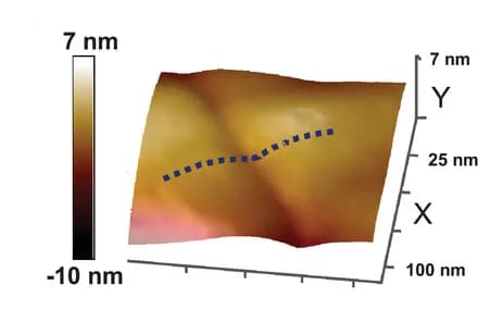Open access visualization of 3D Plot, AFM, 3D Images, Surface Height Profiles, GBGs