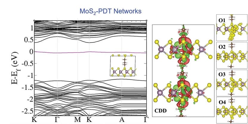 Open access visualization of Line Plot, Protein Structure, Electronic Band Structure, MoS2-PDT, Covalent Networks