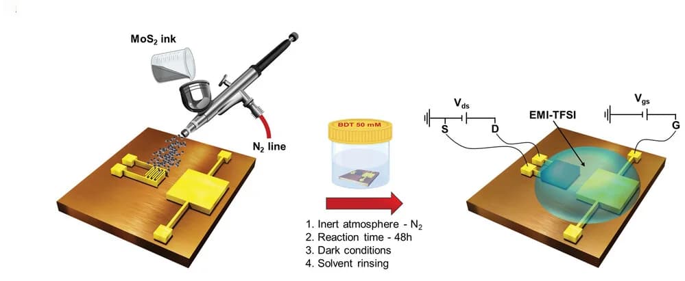 Open access visualization of Workflow, Illustration, MoS2 Deposition, Functionalization, Electrical Characterization