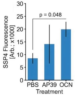 Open access visualization of Bar Plot, Error Bars, SSP4 Fluorescence, bEnd.3 Cells, PEG-OACs