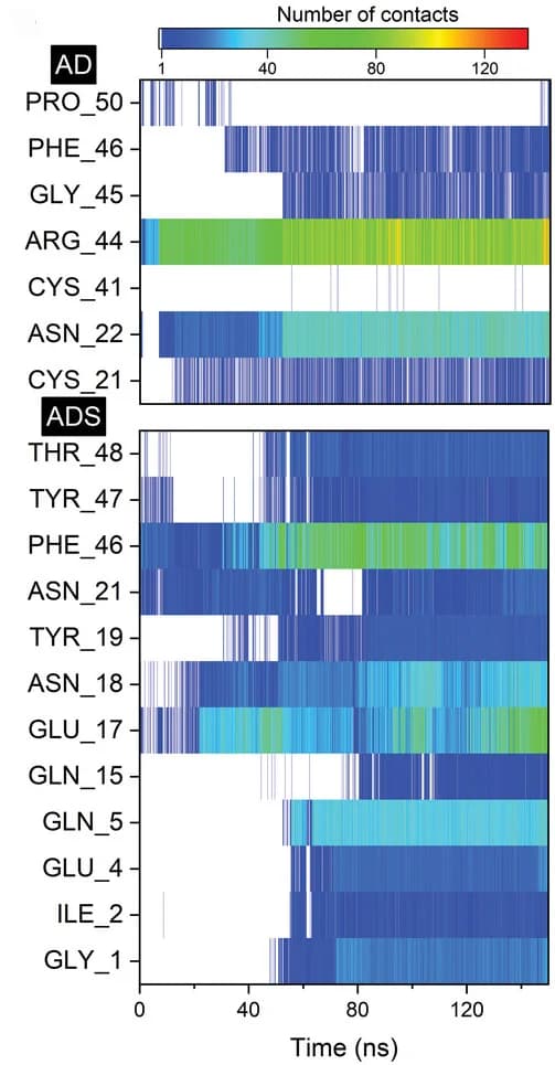 Open access visualization of Heatmap, Heat Map, Contact Points, Insulin, Polymer Molecule