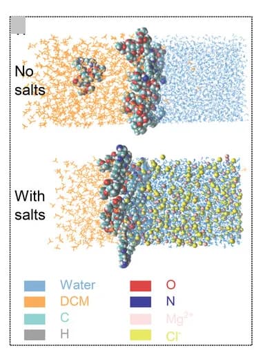 Open access visualization of Chemical Structure, ADS Distribution, DCM-Water Interface, Simulation, Ions