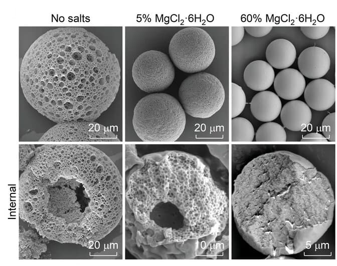 Open access visualization of Microscopy, SEM Images, Microparticles, MgCl2.6H2O