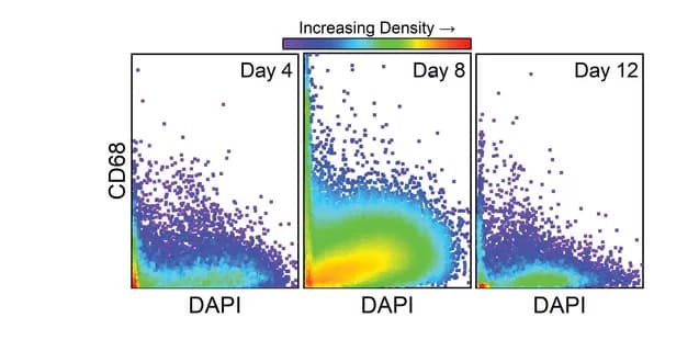 Open access visualization of Scatter Plot, Density Plot, VTEA Scatterplots, Injection Site, Insulin@ADS Group
