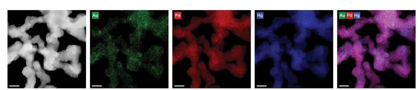 Open access visualization of Microscopy, HAADF-STEM image, Energy-dispersive X-ray spectroscopy, Element maps, Au-Pd2Hg5aerogel