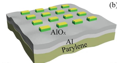 Open access visualization of Illustration, OFET Array, Flexible Substrate, Schematic Image
