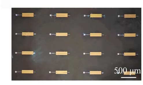 Open access visualization of Microscopy, Optical Microscope Image, OFET, Gate