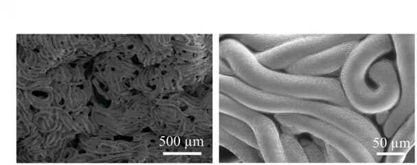 Open access visualization of Microscopy, SEM Image, Dried Fibro-gel, Micromorphology