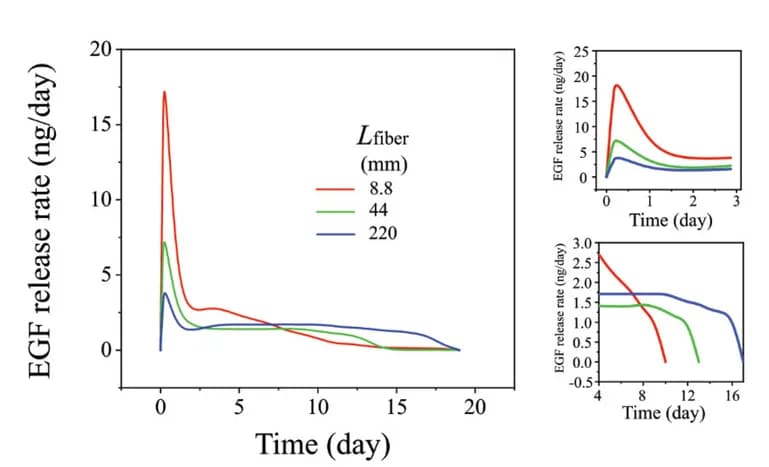 Open access visualization of Line Plot, EGF release rates, Fibro-gels, Fiber lengths, Release rate