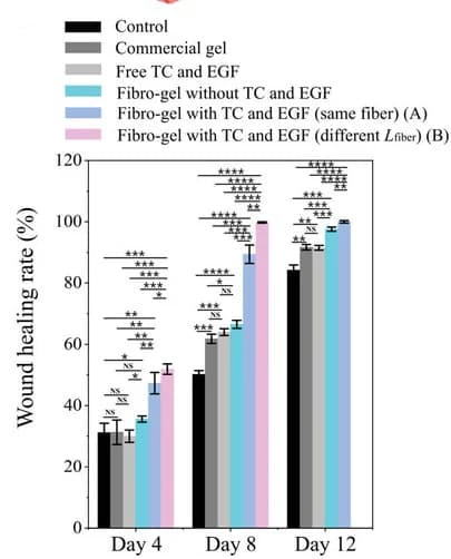 Open access visualization of Bar Plot, Error Bars, Clustered, Wound healing rate, Fibro-gel