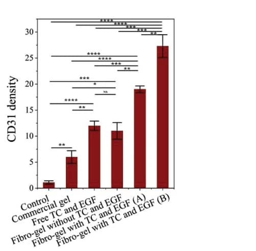 Open access visualization of Bar Plot, Error Bars, CD31 Density, Control Group, Commercial Gel Group