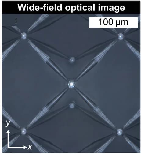 Open access visualization of Microscopy, Wide-Field Microscopy, Depth-of-Field, Specular Reflection, LED Illumination