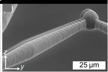Open access visualization of Microscopy, Scanning Electron Microscopy, Unit Cells, 3D Printing, Voxel