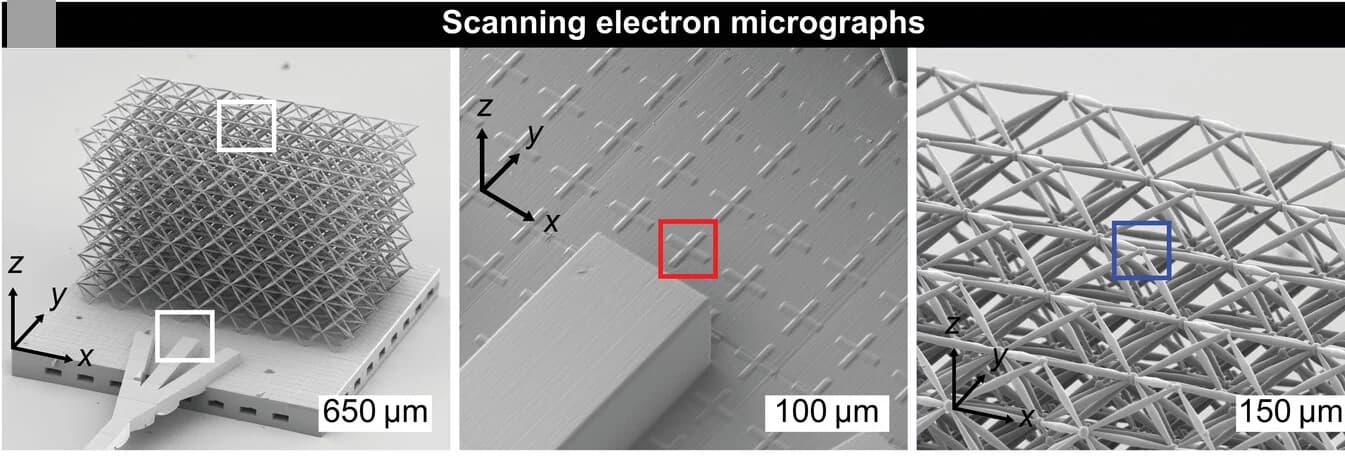 Open access visualization of Microscopy, Scanning Electron Micrographs, Sample, Magnified Views, Input