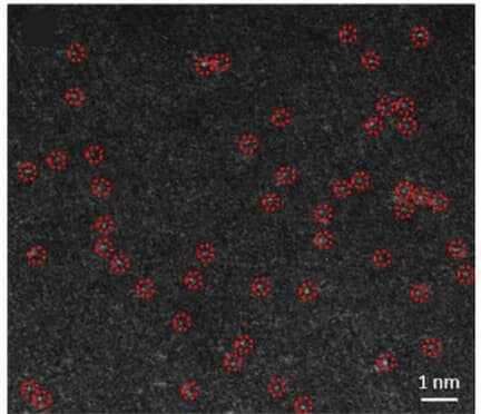 Open access visualization of Microscopy, HAADF-STEM, Platinum-SA, TiO2 Anatase Layers, H2PtCl6