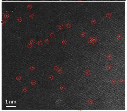 Open access visualization of Microscopy, HAADF-STEM, Platinum-SA, TiO2 Anatase Layers, (NH3)4PtCl2