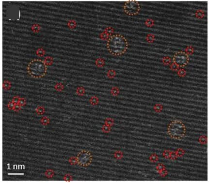Open access visualization of Microscopy, HAADF-STEM, Platinum-SA, TiO2 Anatase Layers, (NH3)4PtCl2