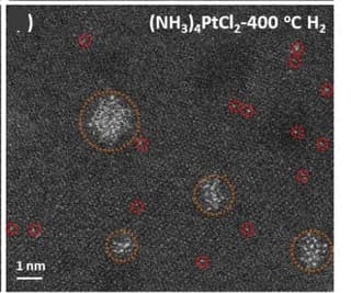 Open access visualization of Microscopy, HAADF-STEM, TiO2 Anatase, (NH3)4PtCl2, Annealing