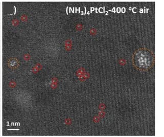 Open access visualization of Microscopy, HAADF-STEM, TiO2 Anatase, (NH3)4PtCl2, Annealing