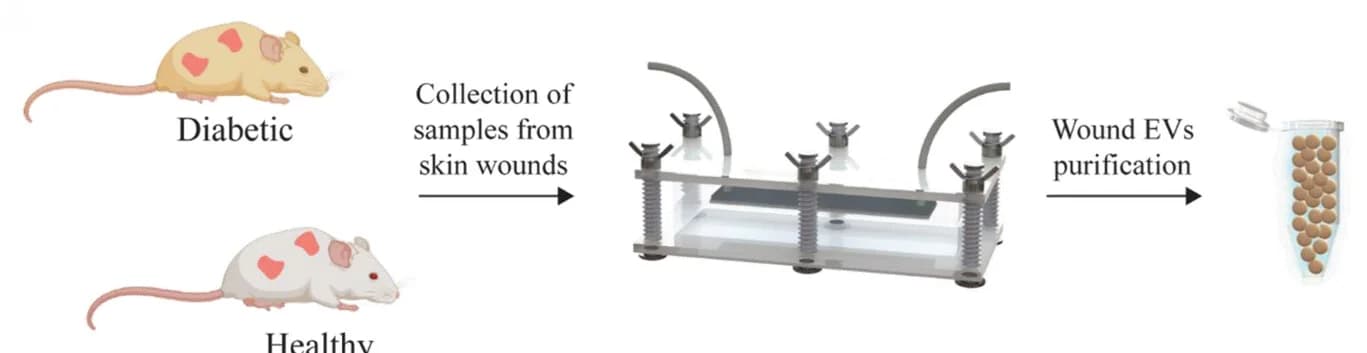 Open access visualization of Workflow, Illustration, Experiment
