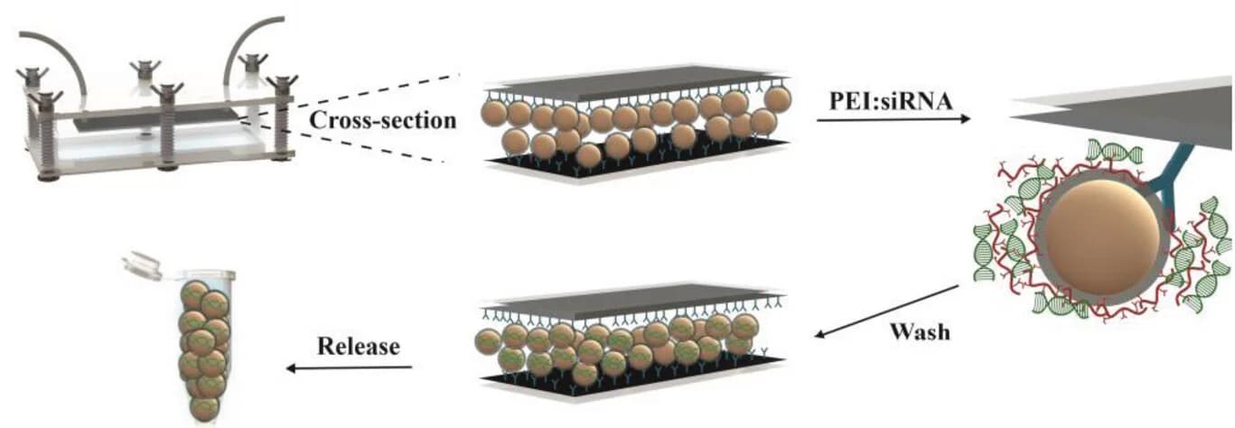 Open access visualization of Workflow, Illustration, EVs