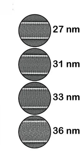 Open access visualization of Microscopy, Nanotube Cross Sections, Nanotubes, Class Averages