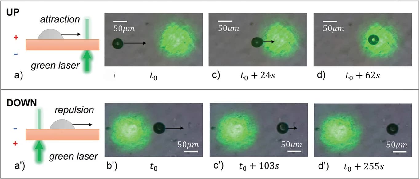 Open access visualization of Microscopy, Illustration, Video Frames, RM734 NFdroplet, Illuminated Area