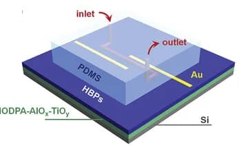 Open access visualization of Illustration, HBPs, OFETs, Microfluidic Channel
