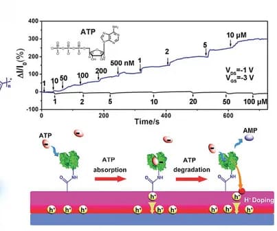 Open access visualization of Line Plot, Workflow, Illustration, OFETs, ATP Biosensor