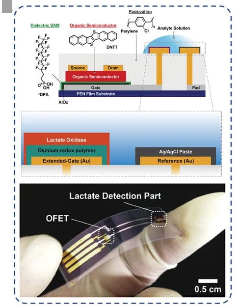 Open access visualization of Illustration, Chemical Structure, Photo, OFET, Enzyme
