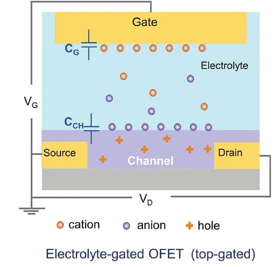 Open access visualization of Illustration, EGOFET, Polarizable Gate Electrode, P-Channel