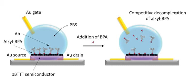 Open access visualization of Workflow, Illustration, EGOFET, Immunosensors, Antibody
