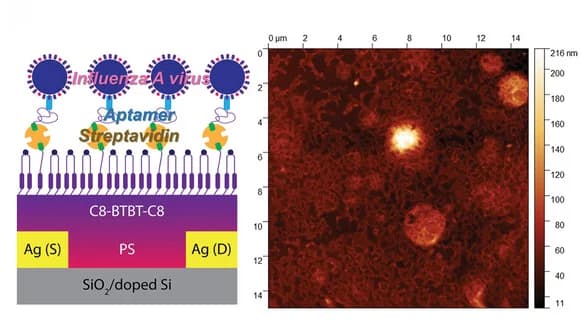 Open access visualization of Microscopy, Illustration, Influenza A Virus, EGOFET, Aptamer