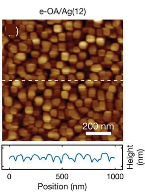 Open access visualization of Microscopy, Line Plot, Atomic Force Microscope, AFM, Optical Adhesive