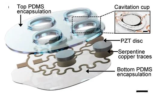 Open access visualization of Illustration, 2D-array, cUSP, PZT-D element, Fluid Cavity