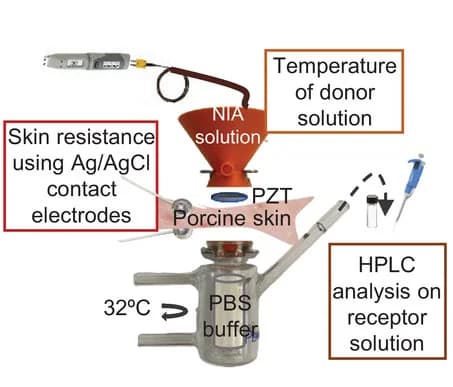 Open access visualization of Workflow, Illustration, Skin Permeation, In Vitro