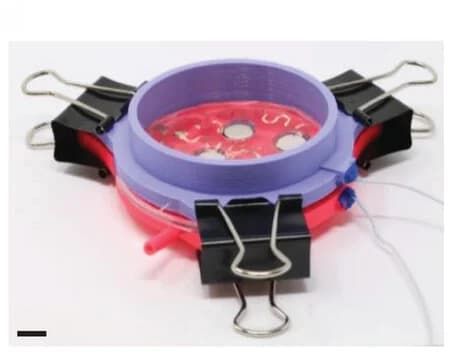 Open access visualization of Photo, Franz Cell, In Vitro, cUSP Device, Porcine Skin