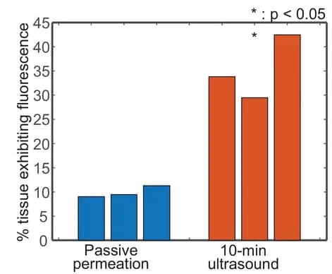 Open access visualization of Bar Plot, Tissue Fluorescence, Porcine Skin, Passive Diffusion, Ultrasound