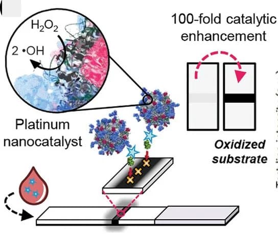 Open access visualization of Illustration, Workflow, Immunoassay, Signal Amplification, Nanozymes