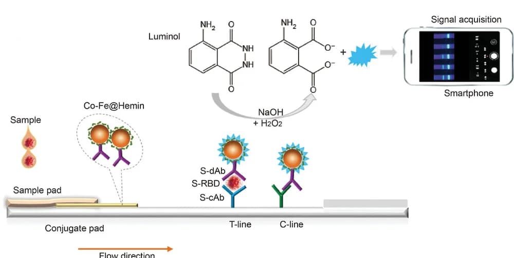 Open access visualization of Workflow, Illustration, Nanozymes, Chemiluminescence, Paper Test