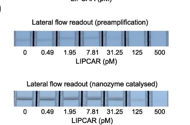 Open access visualization of Photo, Detection, Serial dilution, lnc-LIPCAR, Nanozyme-amplified LFIA