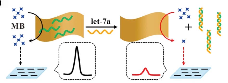 Open access visualization of Workflow, Illustration, Line Plot, Electrode, Electrochemical Biosensor
